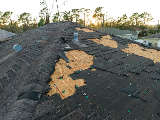 Best Storm Damage Roof Repair  in Merkel, TX